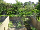 View from Bed 3
